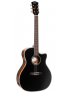 Essence-GA4 Special (Black Top Semi Gloss), зображення 1